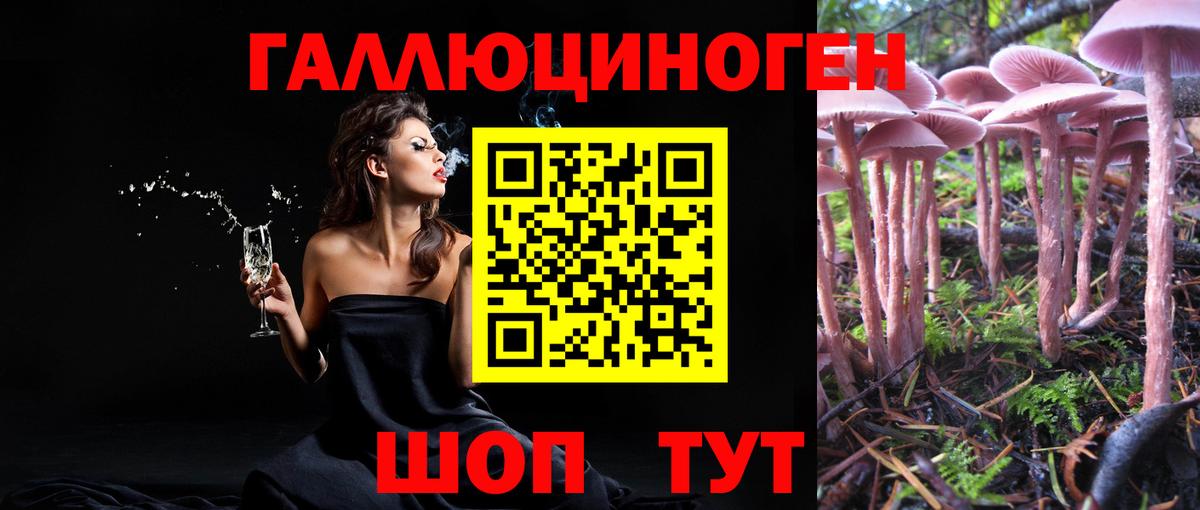 Псилоцибиновые грибы GOLDEN TEACHER  Вход с VPN  Бугульма 
